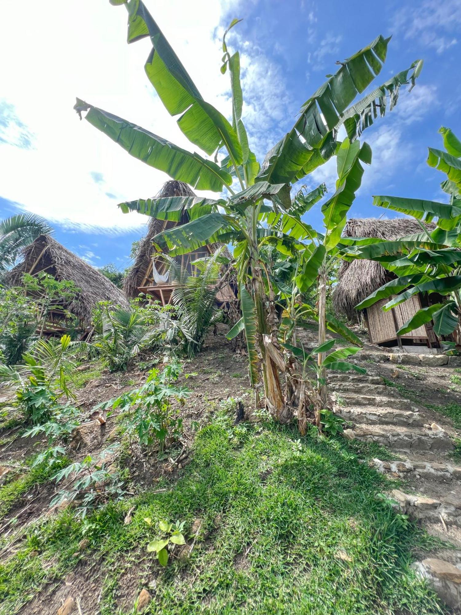 Tierra Alta, Refugio De Montana, Sauce Exterior foto